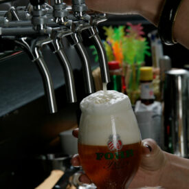 Brauerei Fohr Bier
